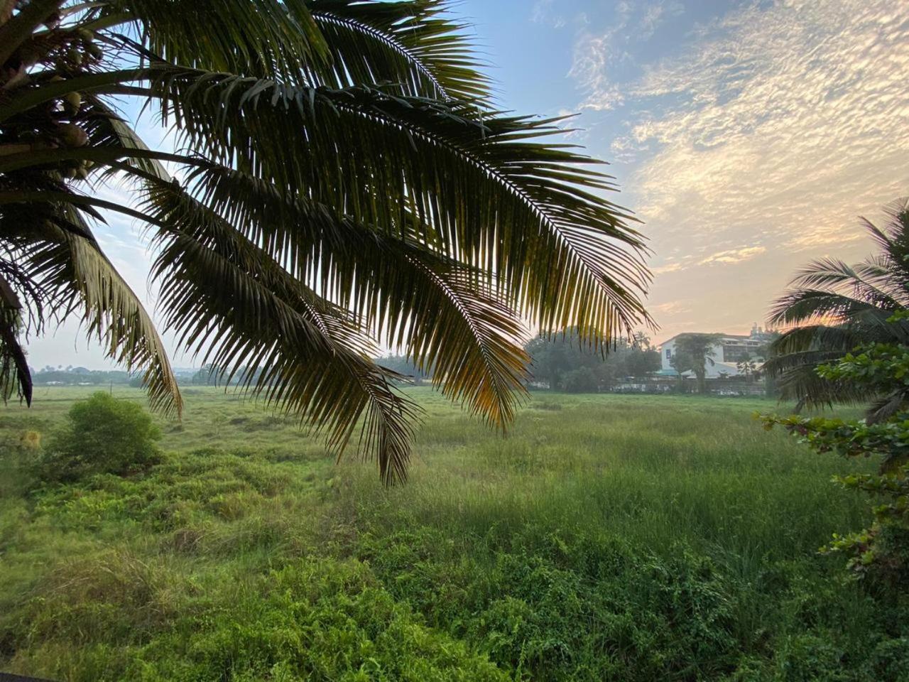 Green Field View Hotel Candolim Kültér fotó